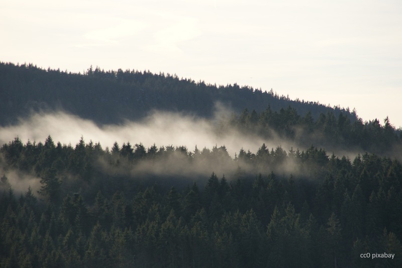 Schluchsee-see